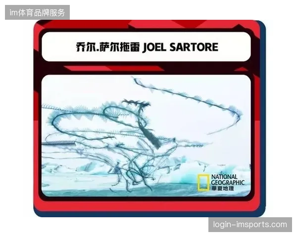 世界杯场馆内部票务激活数据波动过大，揭示二级渠道干扰赞助商权益投射的深度矛盾
